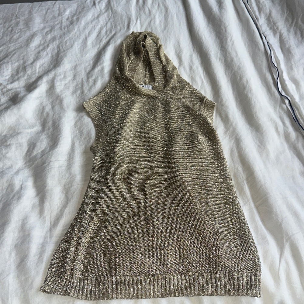 Zara Metallic Sleeveless Top w/Hood